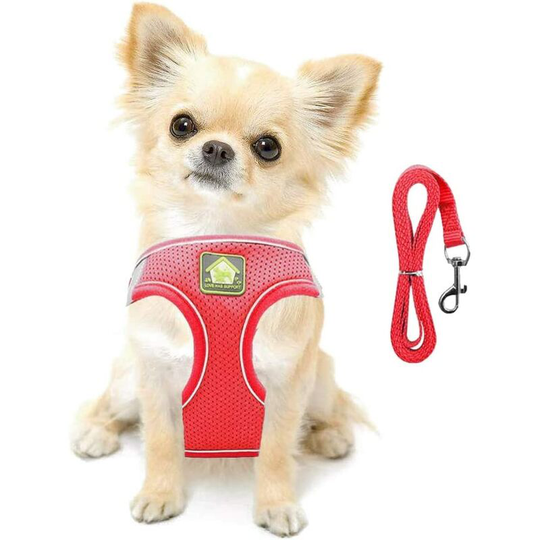 Small Dog Cat Harness Vest Harness Soft Reflective Mesh Adjustable Puppy Vest and Leash Set for Small and Medium Sized Dogs(Red,S)
