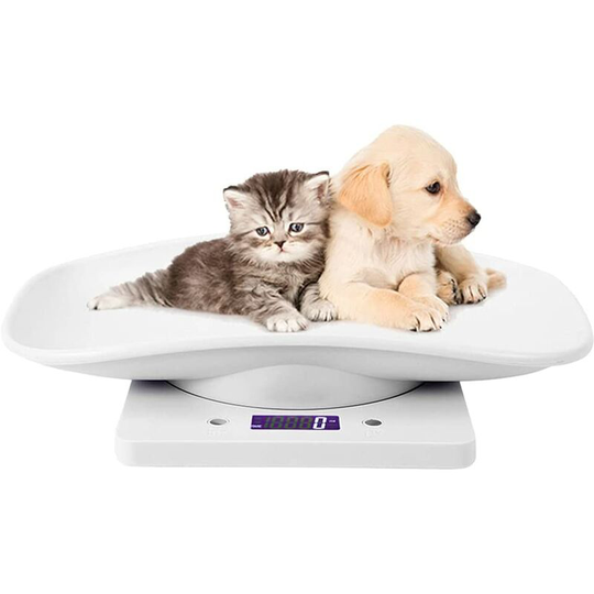 Electronic Pet Scale, Small Digital Pet Scale, Precision Measuring Weighing Tool with LCD Display 10kg/1g for Kitchen Kitten Puppy Tortoise Hamster