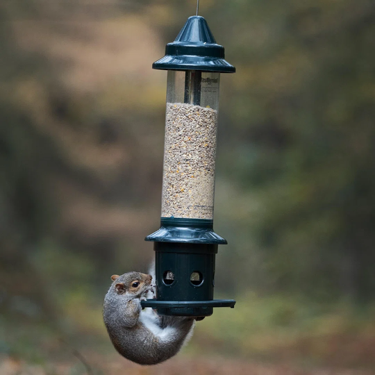 Squirrel Buster Plus - Squirrel-proof Bird Feeder - Lifetime Guarantee