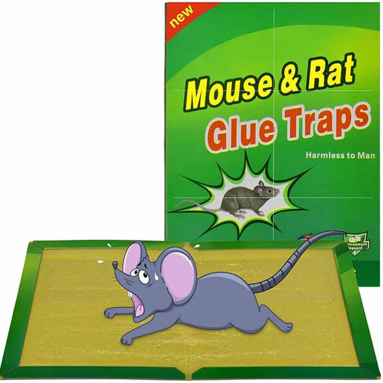 Mouse Trap Rat Traps, 5 Mouse Sticky Plates, Anti Rat Mouse Glue Boards - Large Size 8'x12'
