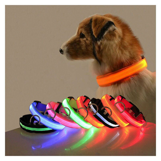 2pcs LED Light Up Collar Dog Adjustable USB Charging Length - Orange Light, Blue Light