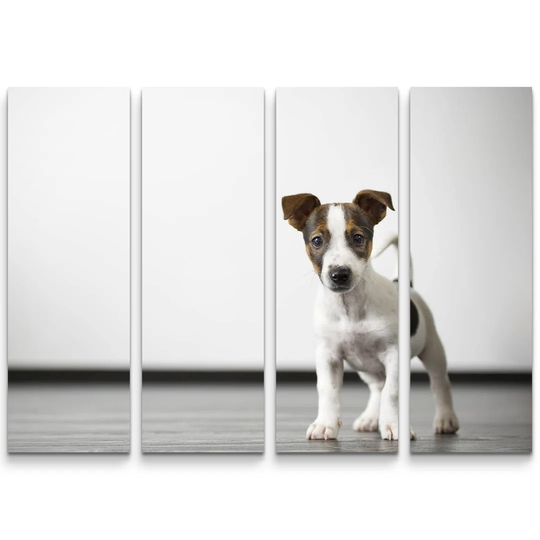 Curious Puppy in Front of a White Wall Photographic Print Multi-Piece Image on Canvas