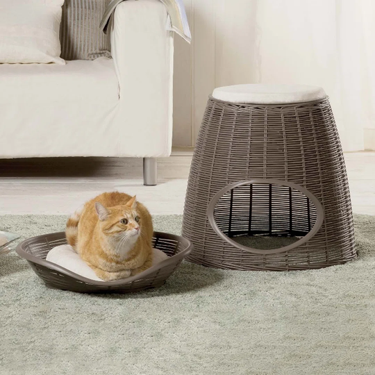 Avianna Designer Specialty Cat Bed