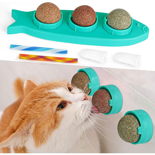 Catnip Balls, Edible Rotating Balls for Licking Blight and Nuts, Indoor Chewing Ball with Pet Toothbrush and Interactive Spring Toy for Dog Pets, Blue