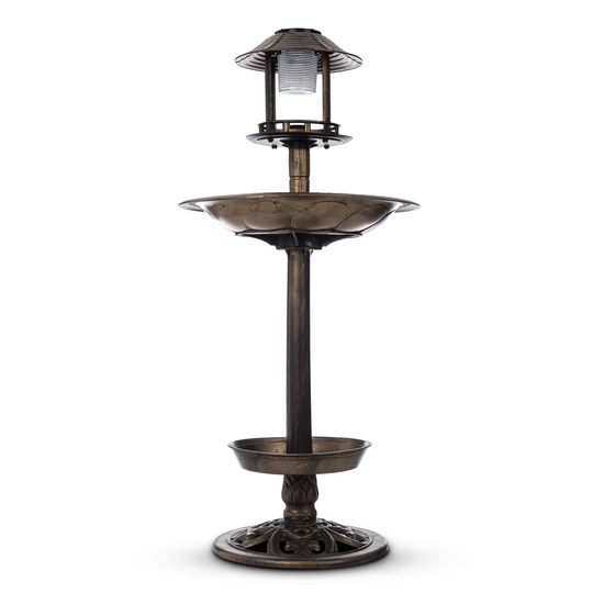 Bird Bath Feeder