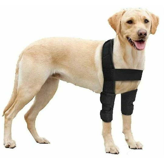 Breathable Protective Dog Elbow Pads For Elbow And Shoulder Support Canine Elbow Hygroma, Dysplasia, Osteoarthritis