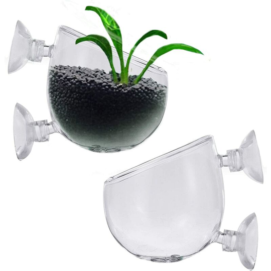 Perle Rare - 2 x Glass for Plant Aquarium Decoration Small Fish Tank with 4 x Suction Cups