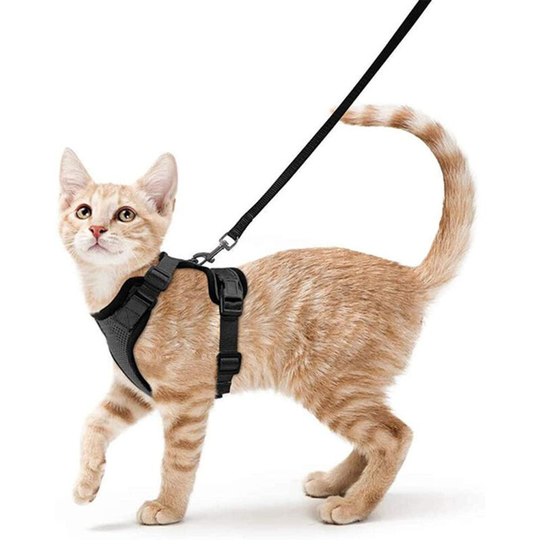 Perle Rare - Cat Harness Small Dog Leash Adjustable Kitten Harness Black xs Reflective Cat Harness Collar Breathable Vest for Rabbit, European Cat,