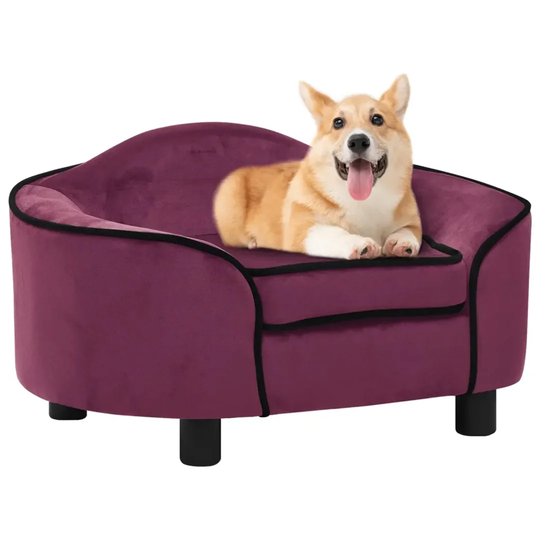 Balmorhea Dog Sofa in Purple