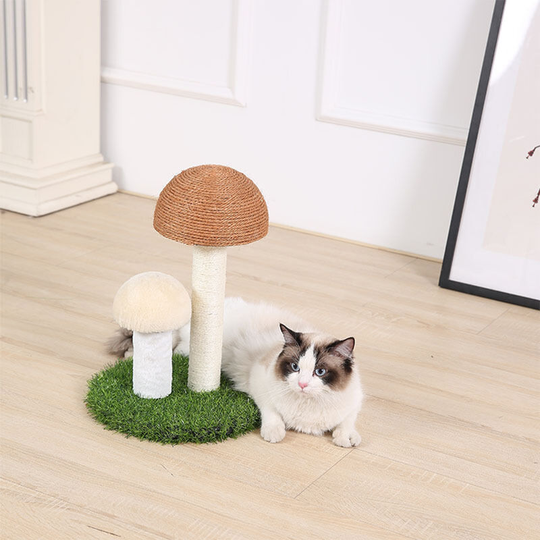Large Cat Scratch Toy Mushroom Shape - Livingandhome