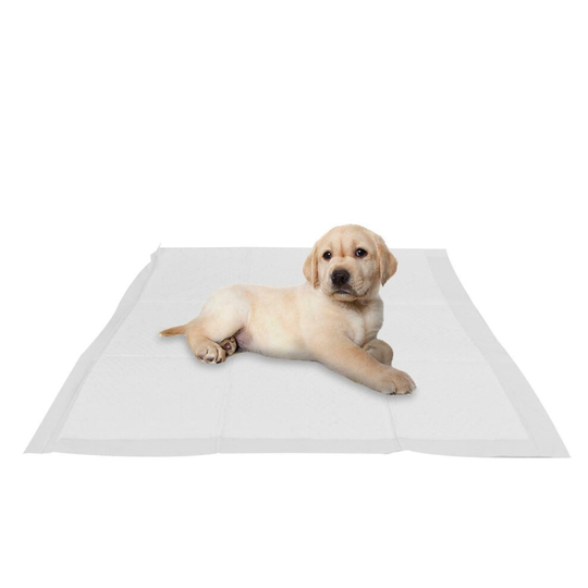 5pk Puppy Training Pads