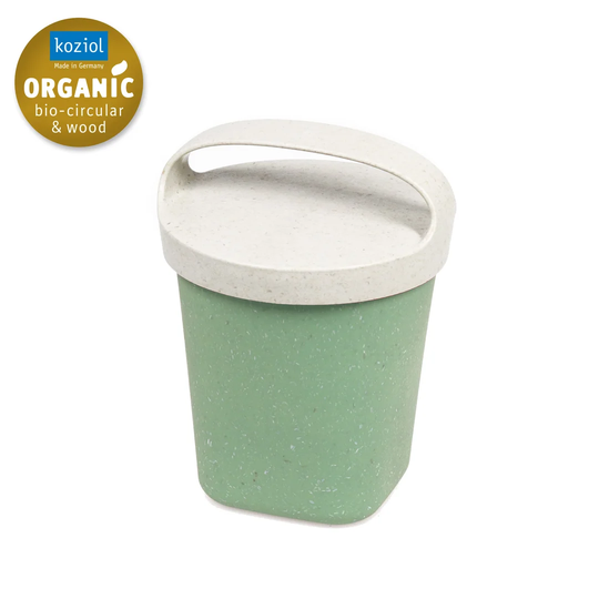 Buddy 0.5L Food Storage Container