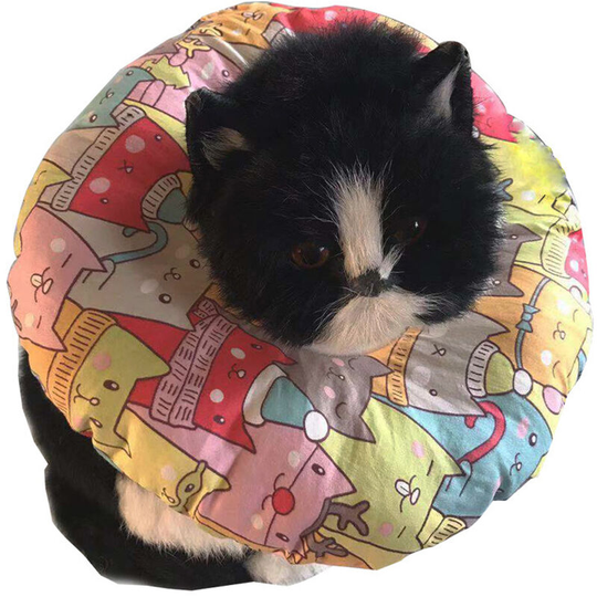100% Cotton Padded Safety Fence Collar Keeps Your Pet Safe In The Fence.