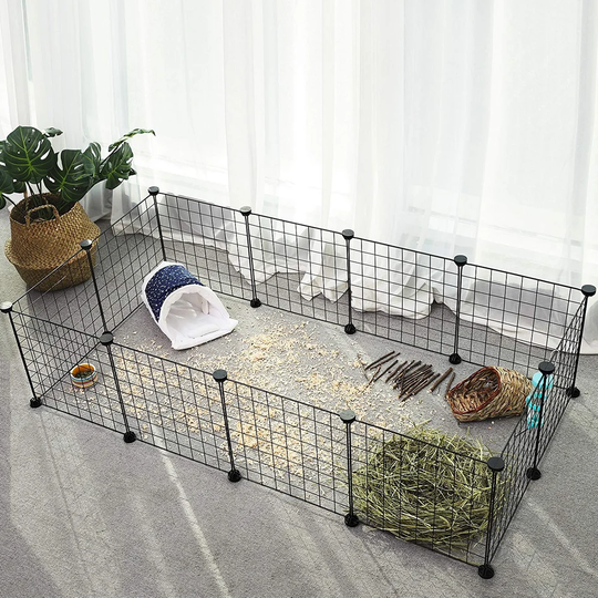 Briana Small Animal Run