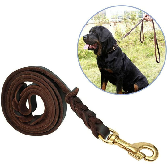 Bearsu - Braided Leather Leash, Dog Leash 2M Long Walk The Dog 1.2CM Wide Waterproof And Resistant Dog Training Leashes