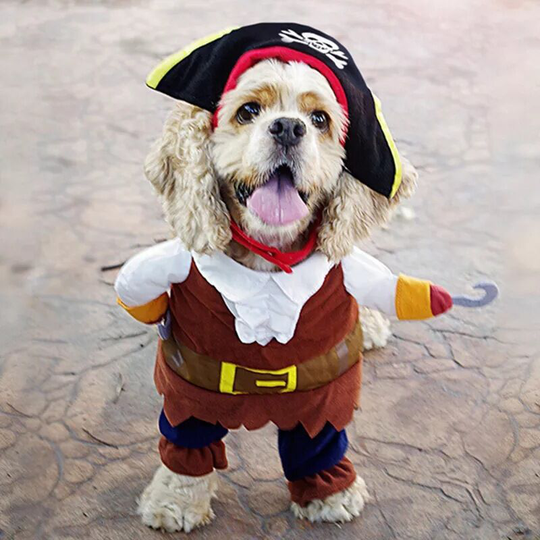 Pet Dog Costume Pirates of the Caribbean Style Cat Costumes (s)