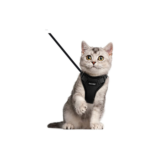 Rare Active Pearl Cat Tableware with Leash Bust 26 * 57cm