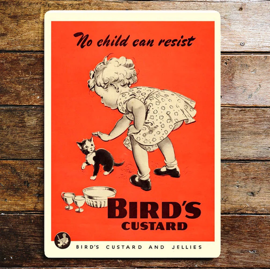 Birds Custard No Child Can Resist Kitten Metal Sign