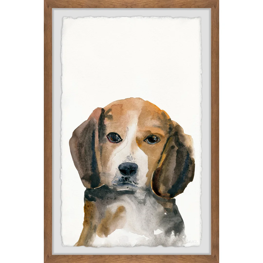 'Little Brown Puppy' by Parvez Taj Framed Painting