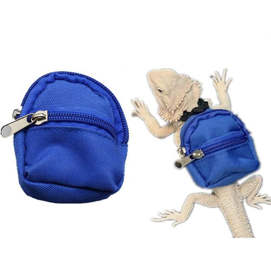 2 Pack Bearded Dragon Lizard Backpack, School Bag, Bearded Lizard Reptile Clothes Accessories, Chameleon Crested Gecko Dragon (Blue)