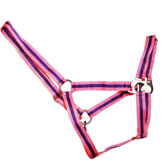 Duo Head Collar (Cob) (Pink/Purple) - Pink/Purple - HY