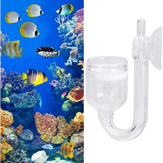 Professionally Made Glass CO2 Atomizer Diffuser, Aquarium Refiner