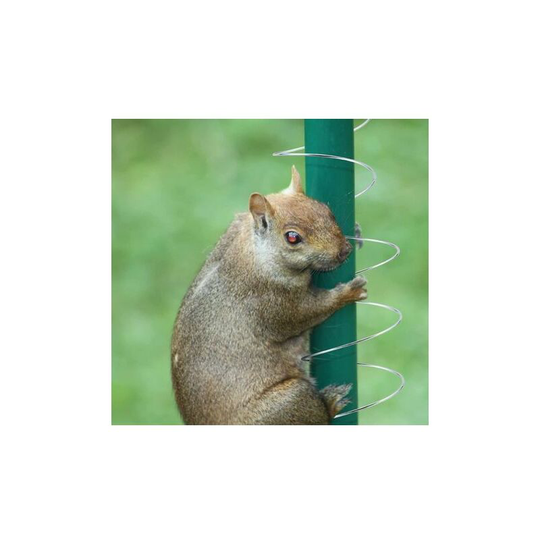 1Pcs Squirrel Deflector Metal Spring Device Squirrel Locking Spring Coil Type Outdoor Bird Feeder Bird Feeder Accessories