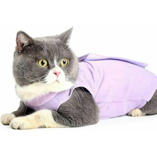 Cat Recovery Vest Anti-lick Kitten Medical Jumpsuit Suitable for Abdominal Wound Collar or Skin Disease Weaning and Post-surgical Protection(S,