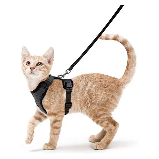 Cat Harness Small Dog Leash Adjustable Kitten Harness Black xs Reflective Cat Harness Collar Breathable Vest for Rabbit, European Cat, Maine Coon,