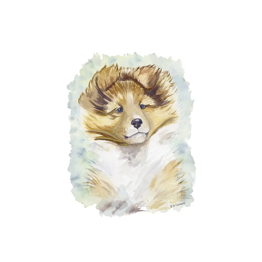 Minori the Sable Shetland Sheepdog Puppy by Jasper And Ruby - Wrapped Canvas Painting on Canvas