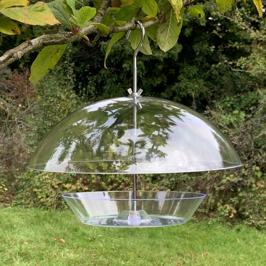 Kronos Tray Bird Feeder