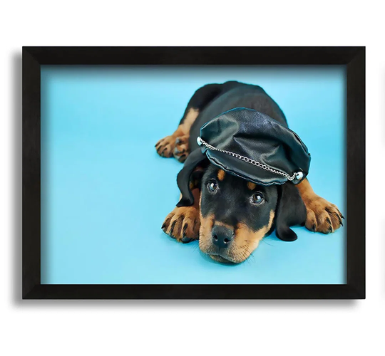 Rottweiler Puppy Dog Hat - Picture Frame Photograph on Canvas