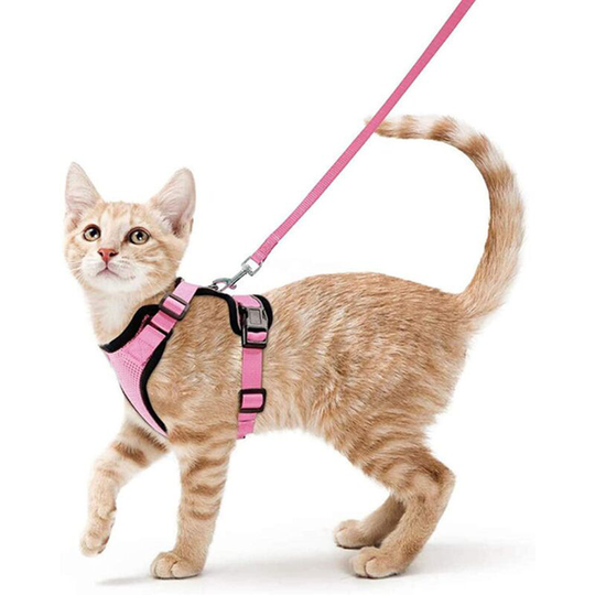 Perle Rare - Cat Harness Small Dog Leash Adjustable Kitten Harness Pink s Collar Reflective Cat Harness Breathable Vest for Rabbit, European Cat,