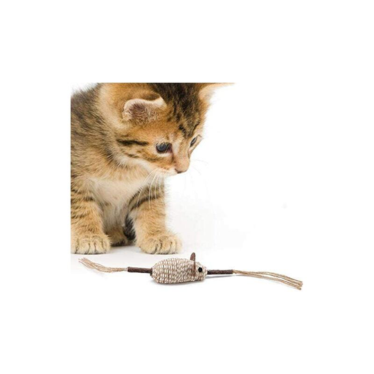 Catnip Cat Sticks, Cat Scratcher Natural Molar Toy Kitten Cleaning Cat Teeth Sisal Interactive Chew Toys for Cats Kitten Kitty Dental Health (Mouse)