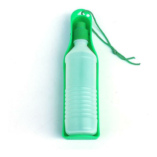 Green Dog Water Bottle