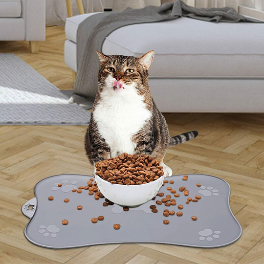 2Dog Bowl Mat Dog and Cat Bowl Mat for Food and Water Feeding Non-Slip Silicone Bone Shape for Small Medium Dogs and Cats