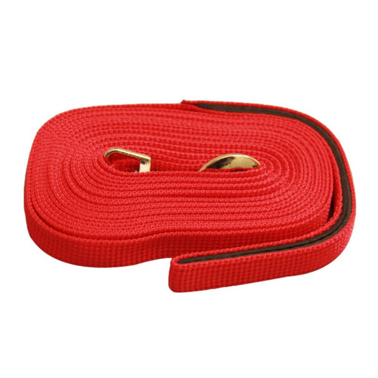 (Red) Dog Lead Puppy Training Recall Walk Long Leash 5m