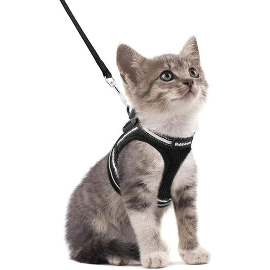 Cat Harness with Leash, Breathable Kitten Harness and Reflective Strip Adjustable Vest for Small Dogs Black S Easy On Pet Collar for Persian Ragdoll