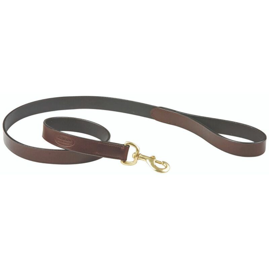 Leather Dog Lead (One Size) (Brown) - Brown - Weatherbeeta