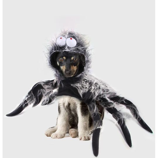 Pet Christmas funny big spider chest and back creative cat dog large and medium dog transformation costume (m)
