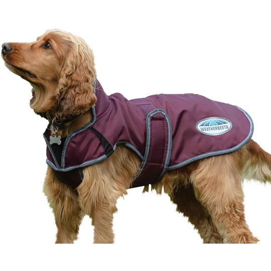 Weatherbeeta - Comfitec Windbreaker Free Deluxe Dog Coat (70cm) (Maroon/Grey/White) - Maroon/Grey/White