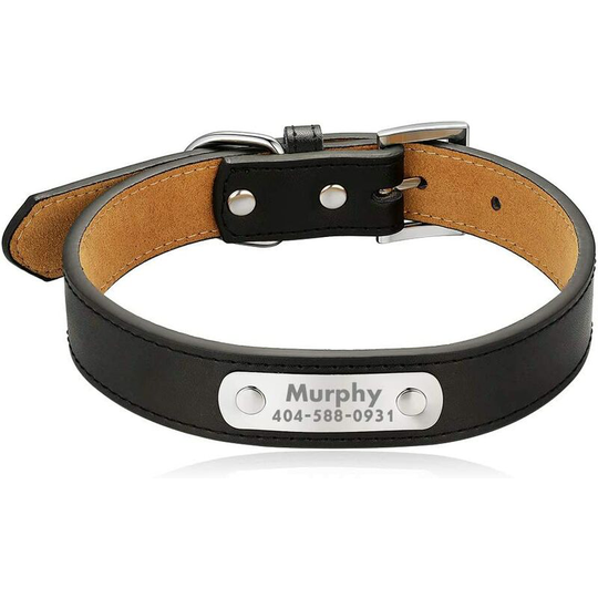 Custom Black Leather Dog Collar Big Puppy Name
