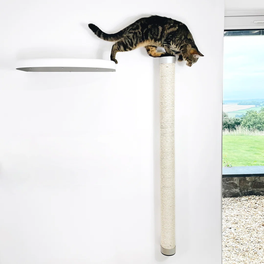 Deemer Scratching Post