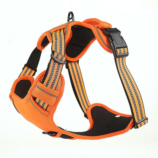 Dog leash, pet harness, dog walking pet harness m Orange - Muff