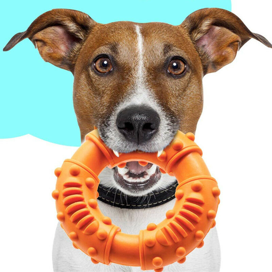 Ultra Durable Dog Chew Toy - Toughest Natural Rubber - Texture Nub Dog Toys for All Aggressive Chewers Large Dogs Puppy - Fun to Chew, Dental Care,