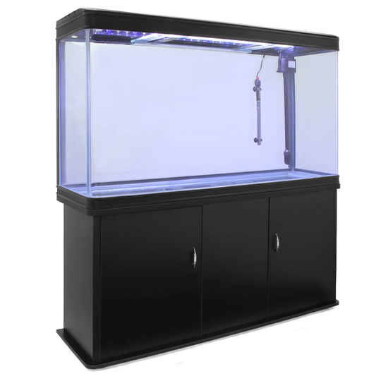 300L Hollis Aquarium Tank