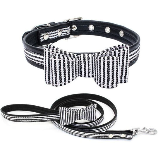 Perle Rare - Dog Collar Set with Adjustable Collar + Training Leash Leash Hiking Walking Travel Cat Cat m