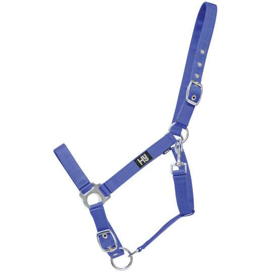 Hy Economy Plus Head Collar (Full) (Brilliant Blue) - Brilliant Blue