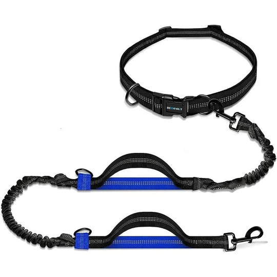 Hand Free Dog Leash, with Adjustable Waist Belt for Jogging Practice, Shock Absorption, Professional Harness with Reflective Stitching