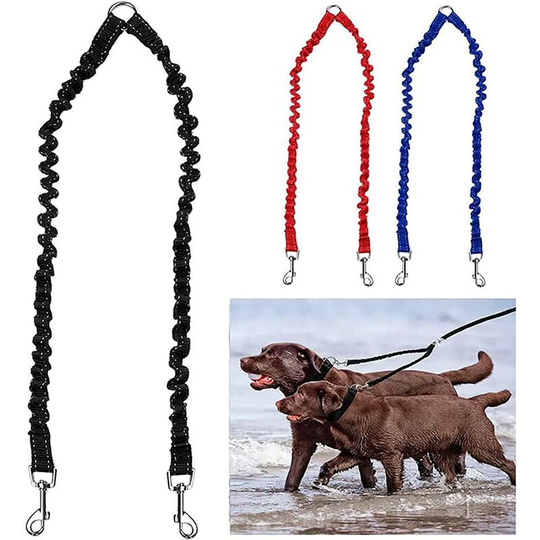 Bungee Double Dog Coupler Lead, No Tangle Two 2 Dog Leash and Splitter for Walking Puppy Small Medium Large dog (Black)